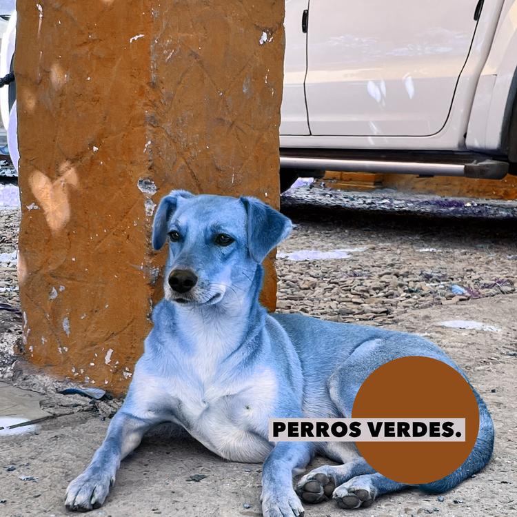 Perros Verdes's avatar image