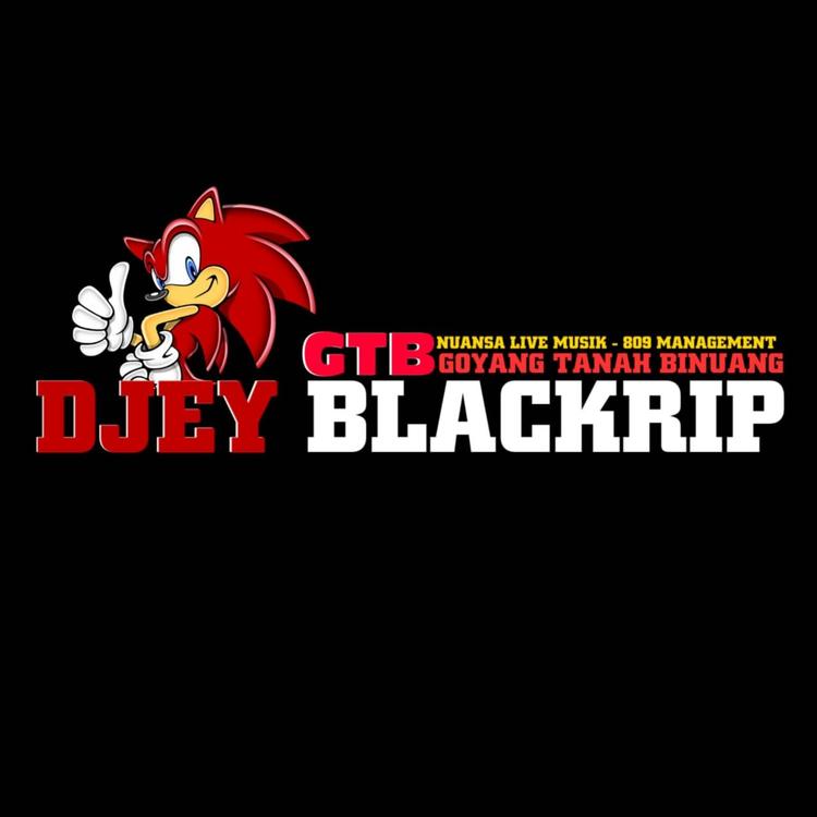 DJ BLACKRIP's avatar image