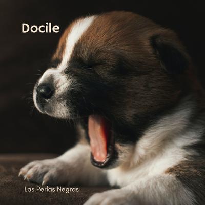 Docile By Las Perlas Negras's cover