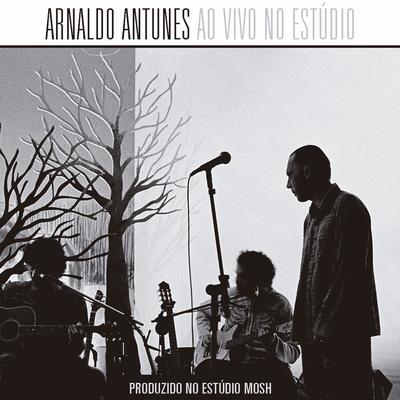 Não Vou Me Adaptar (Ao Vivo) By Arnaldo Antunes, Nando Reis's cover
