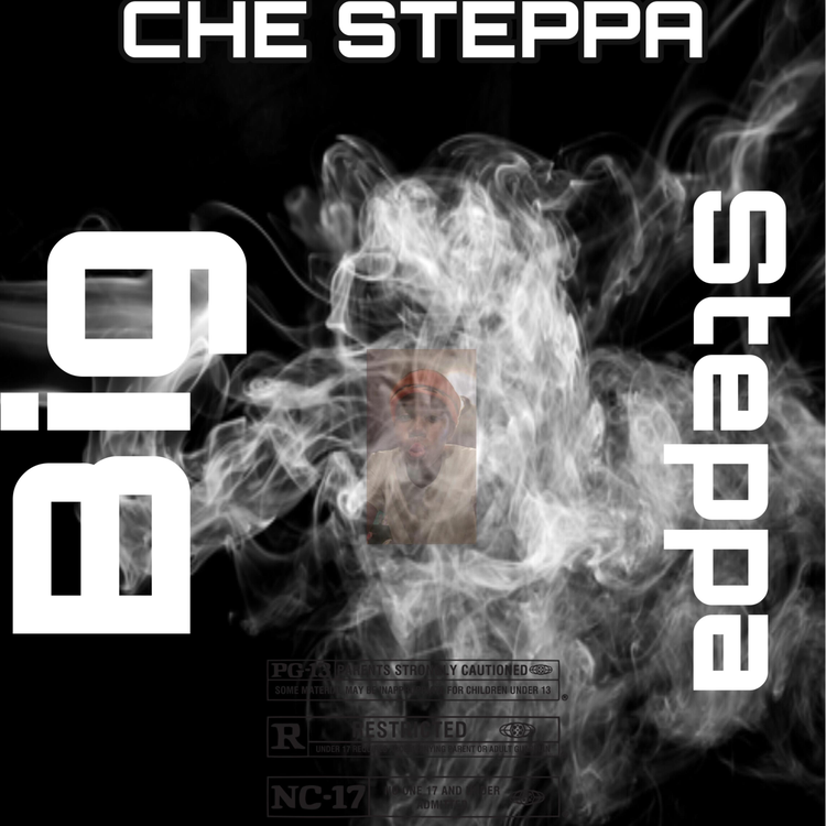 CHE steppa's avatar image