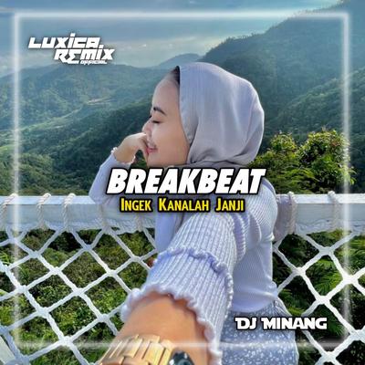 DJ INGEK KANALAH JANJI BREAKBEAT's cover