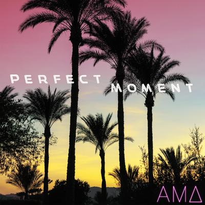 Perfect Moment (Radio Edit) By AMD's cover