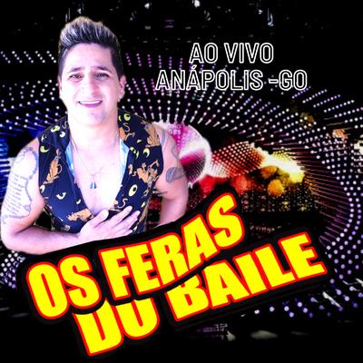 Velho Barreiro By Os Feras do Baile's cover