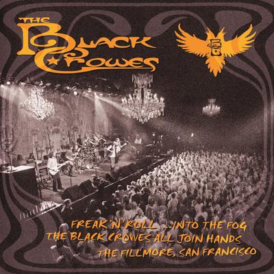 Freak 'N' Roll...Into the Fog: The Black Crowes All Join Hands (The Fillmore, San Francisco)'s cover