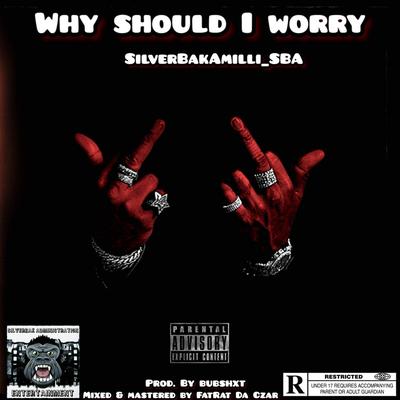 Silverbakamilli_sba's cover