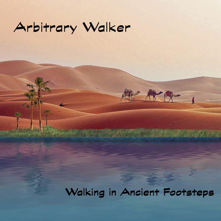 Arbitrary Walker's avatar image