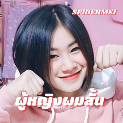 Spidermei's cover