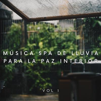 Una Silenciosa Lluvia By Dormir Profundamente, Musica Para Dormir, La Naturaleza Del Sueño's cover