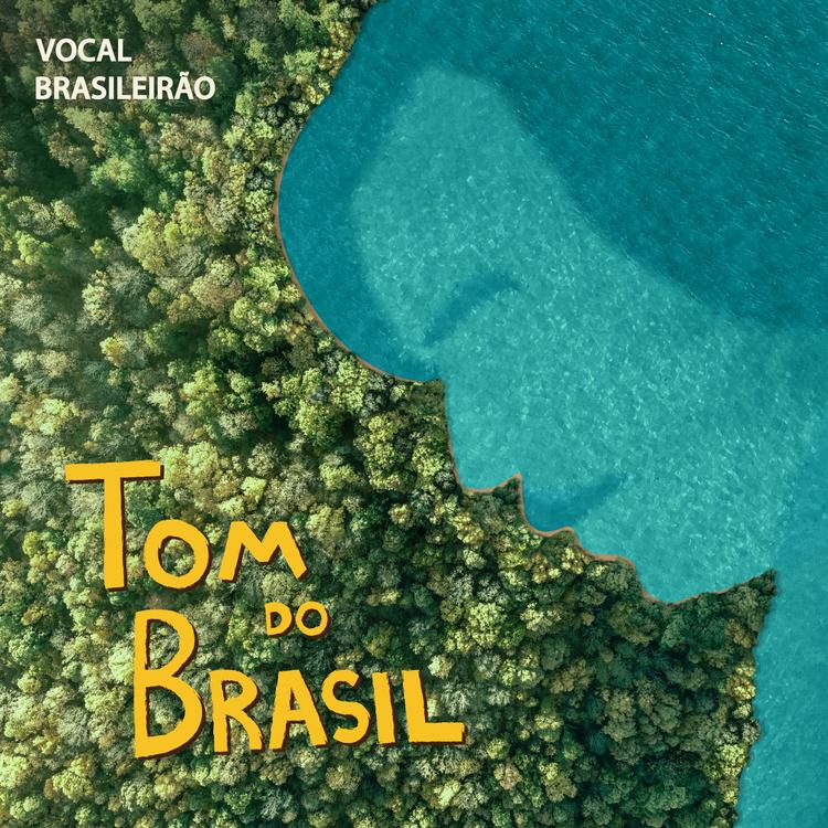 Vocal Brasileirão's avatar image