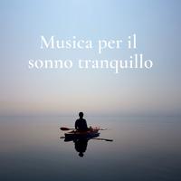 Musica rilassante's avatar cover