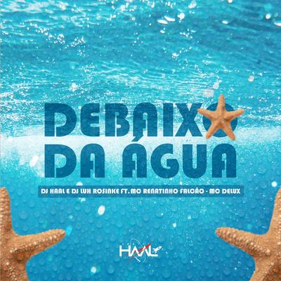 Debaixo da Água By Dj Haal, Dj Luh Rosinke, MC Renatinho Falcão, Mc Delux's cover