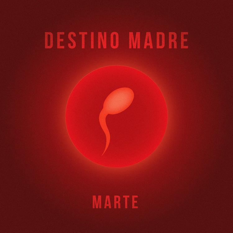 Destino MADRE's avatar image