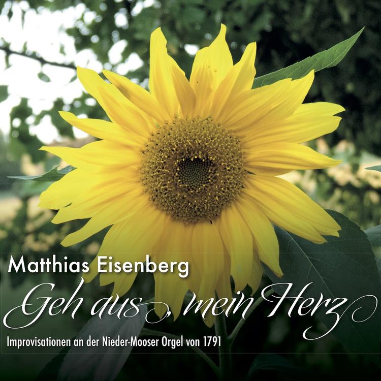 Matthias Eisenberg's avatar image