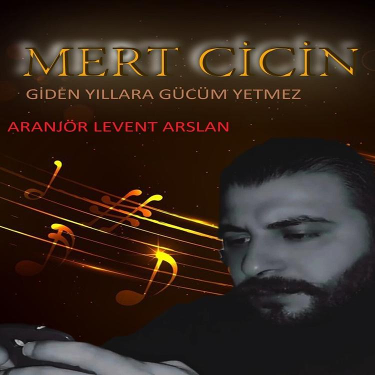 Mert Cicin's avatar image