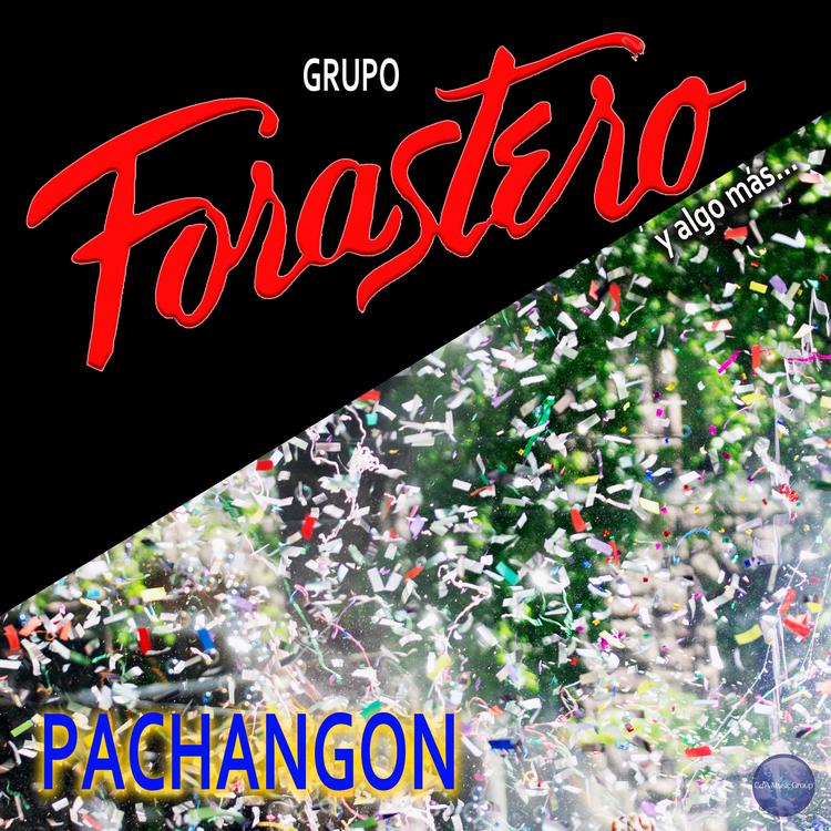 Grupo Forastero's avatar image