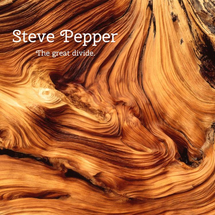 Steve Pepper's avatar image