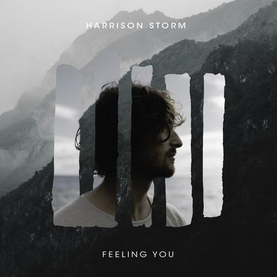 Feeling You By Harrison Storm's cover