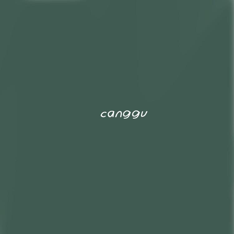 Canggu's avatar image