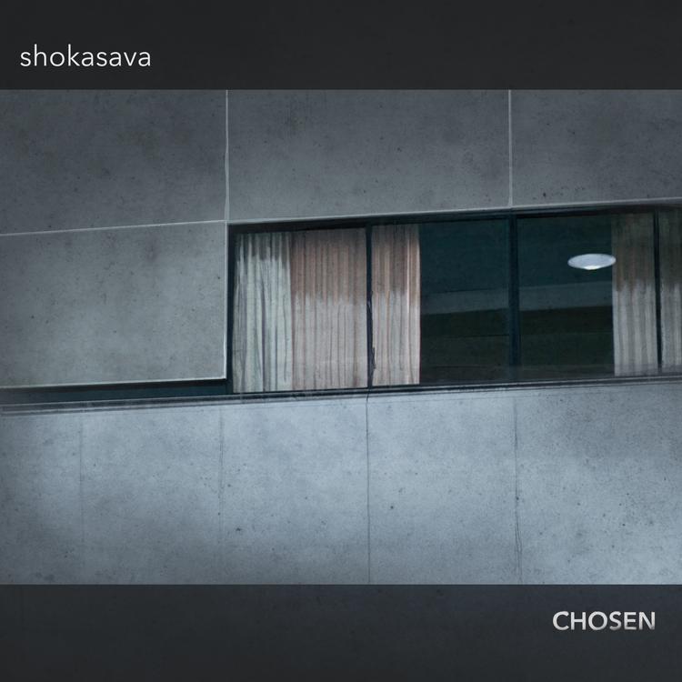 Shokasava's avatar image