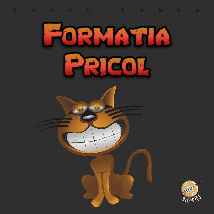 Formatia Pricol's avatar image