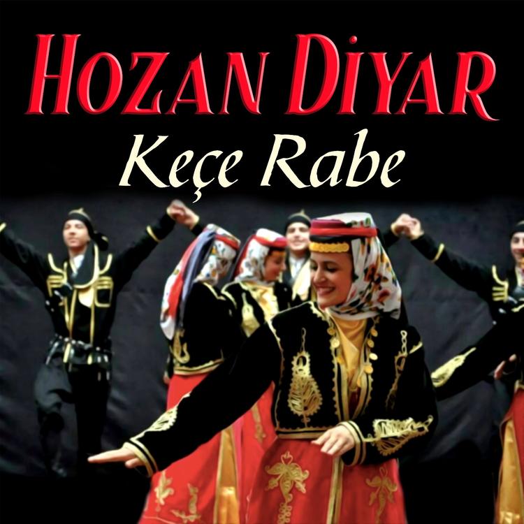 Hozan Diyar's avatar image