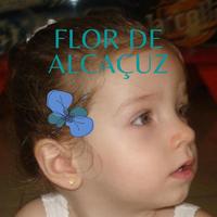 Flá Fabí's avatar cover