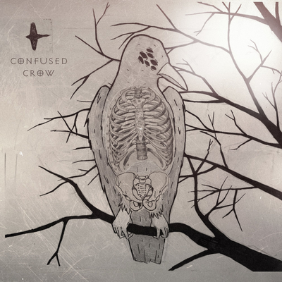 Confused Crow's cover