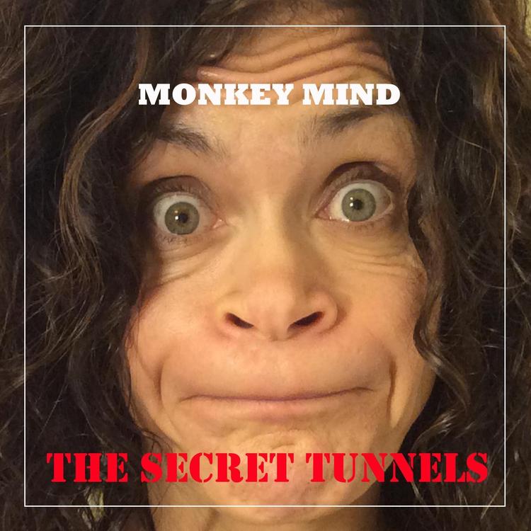 The Secret Tunnels's avatar image