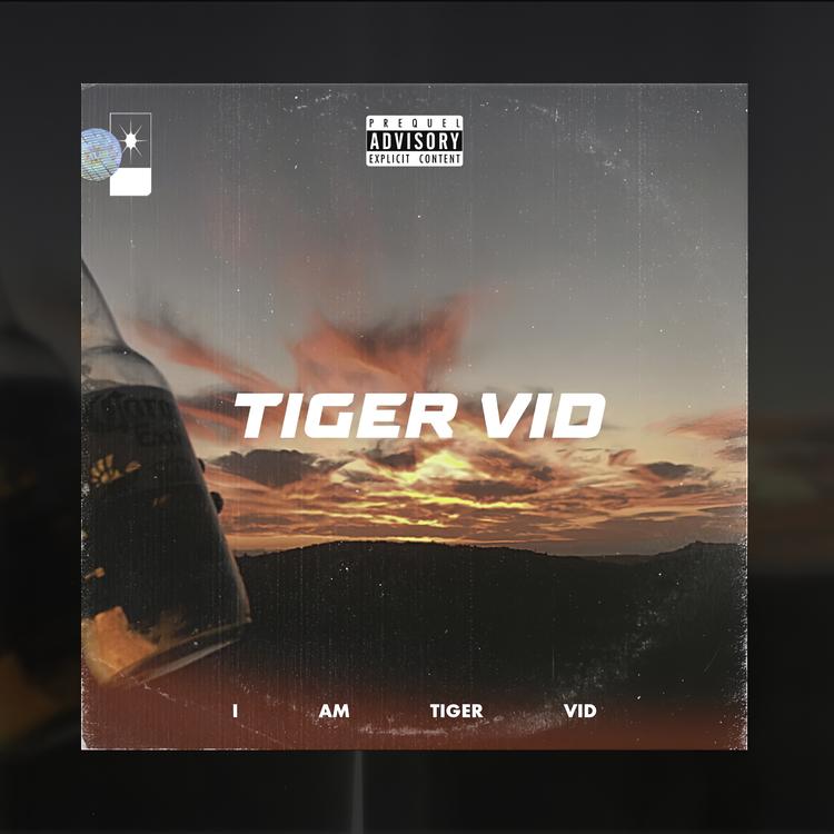 Tiger Vid's avatar image