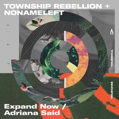 Expand Now By Township Rebellion, NoNameLeft's cover