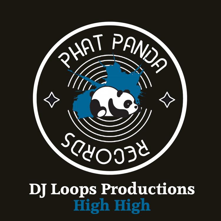 DJ Loops Productions's avatar image