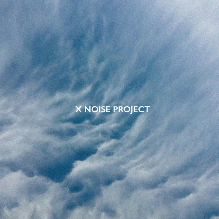X NOISE PROJECT's avatar image