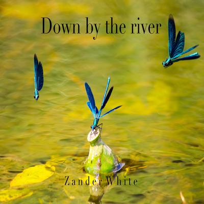 Down by the river By Zander White's cover