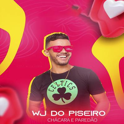 Arruma a Mala e Vem Morar Mais Eu By WJ do Piseiro's cover