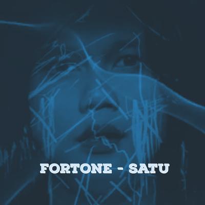 Satu (Cover)'s cover