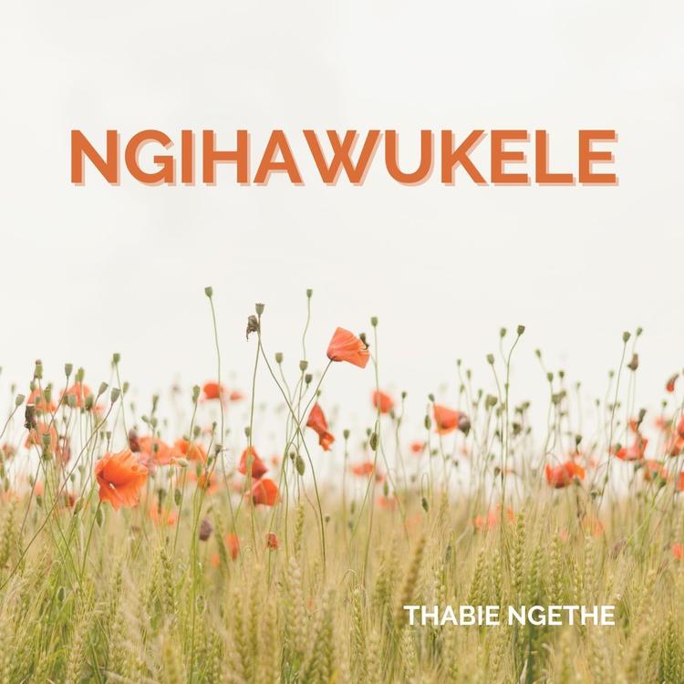 Thabie Ngethe's avatar image