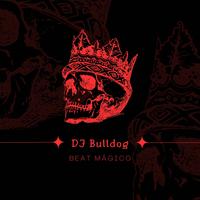 DJ Bulldog's avatar cover