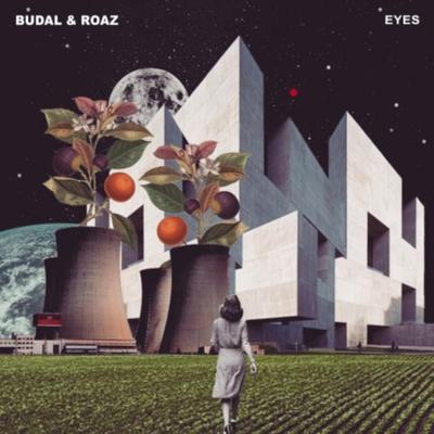 Eyes By BUDAL, Roaz's cover