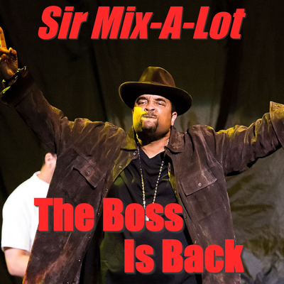 The Boss Is Back's cover