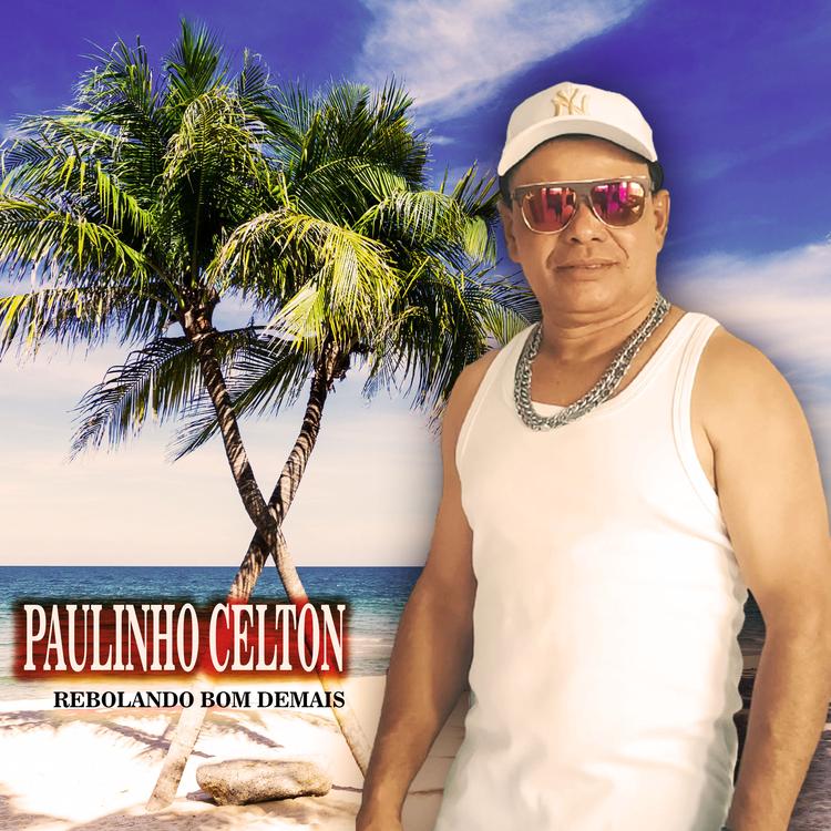 Paulinho Celton's avatar image