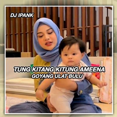 TUNG KITANG KITUNG AMEENA GOYANG ULAT BULU (Remix)'s cover