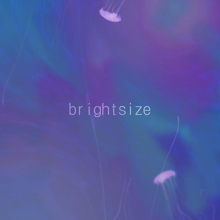 Brightsize's avatar image