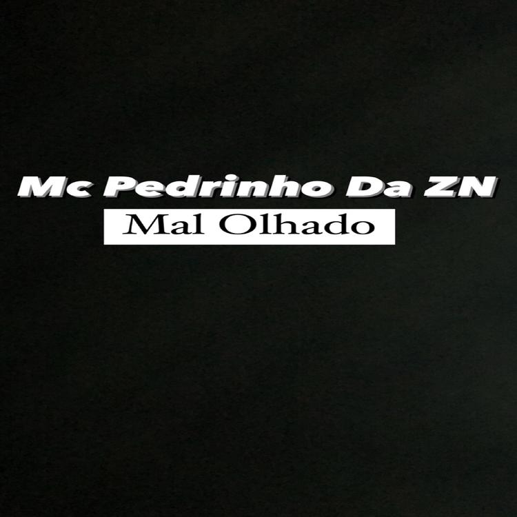 MC Pedrinho da zn's avatar image