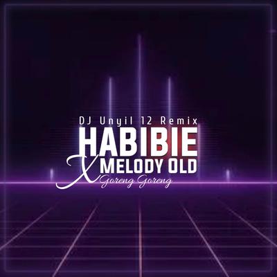 DJ Habibie x Melody Old - Inst's cover