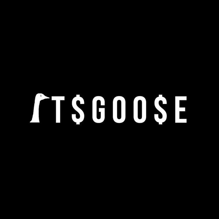 Its Goose's avatar image