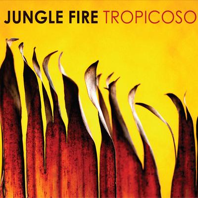 Firewalker By Jungle Fire's cover