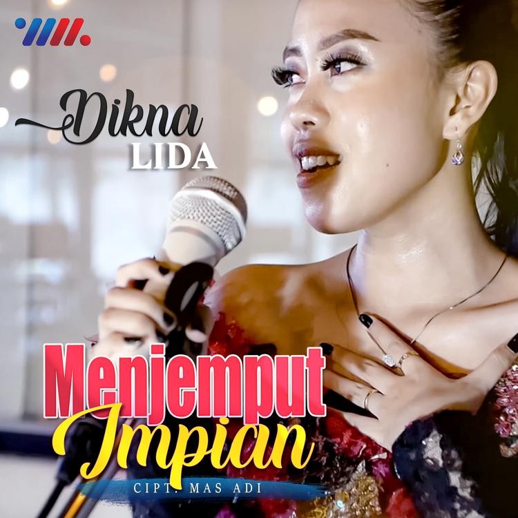 Dikna Lida's avatar image