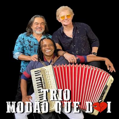 Trio Modão Que Doi's cover