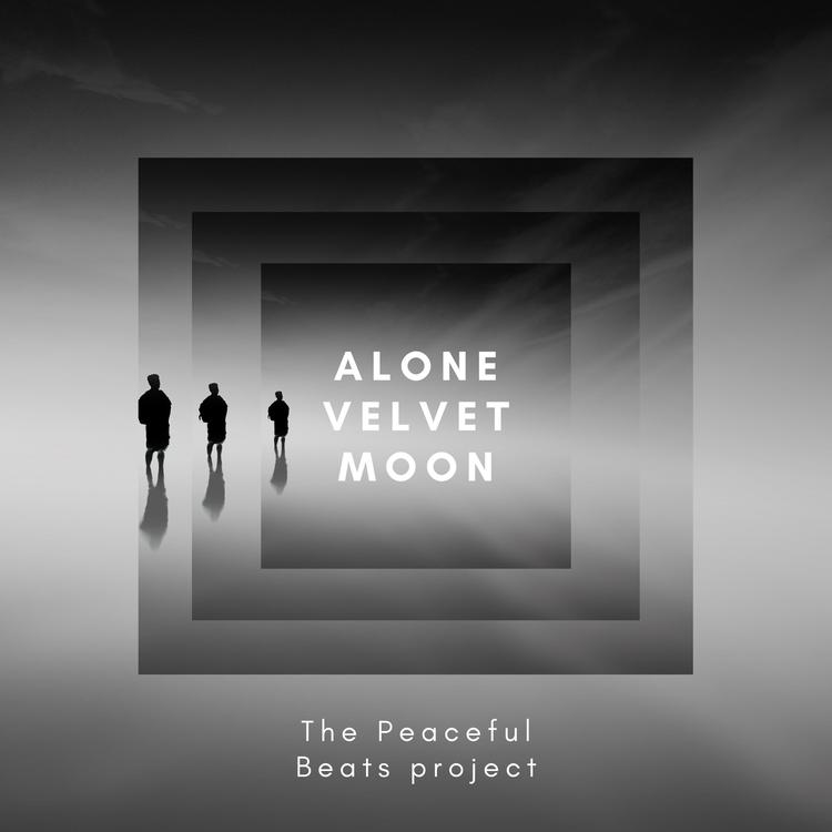 The Peaceful Beats Project's avatar image